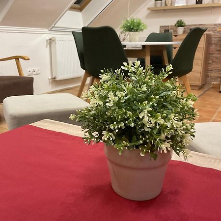 Sport Apartman Hajdúszoboszló Zewnętrze zdjęcie