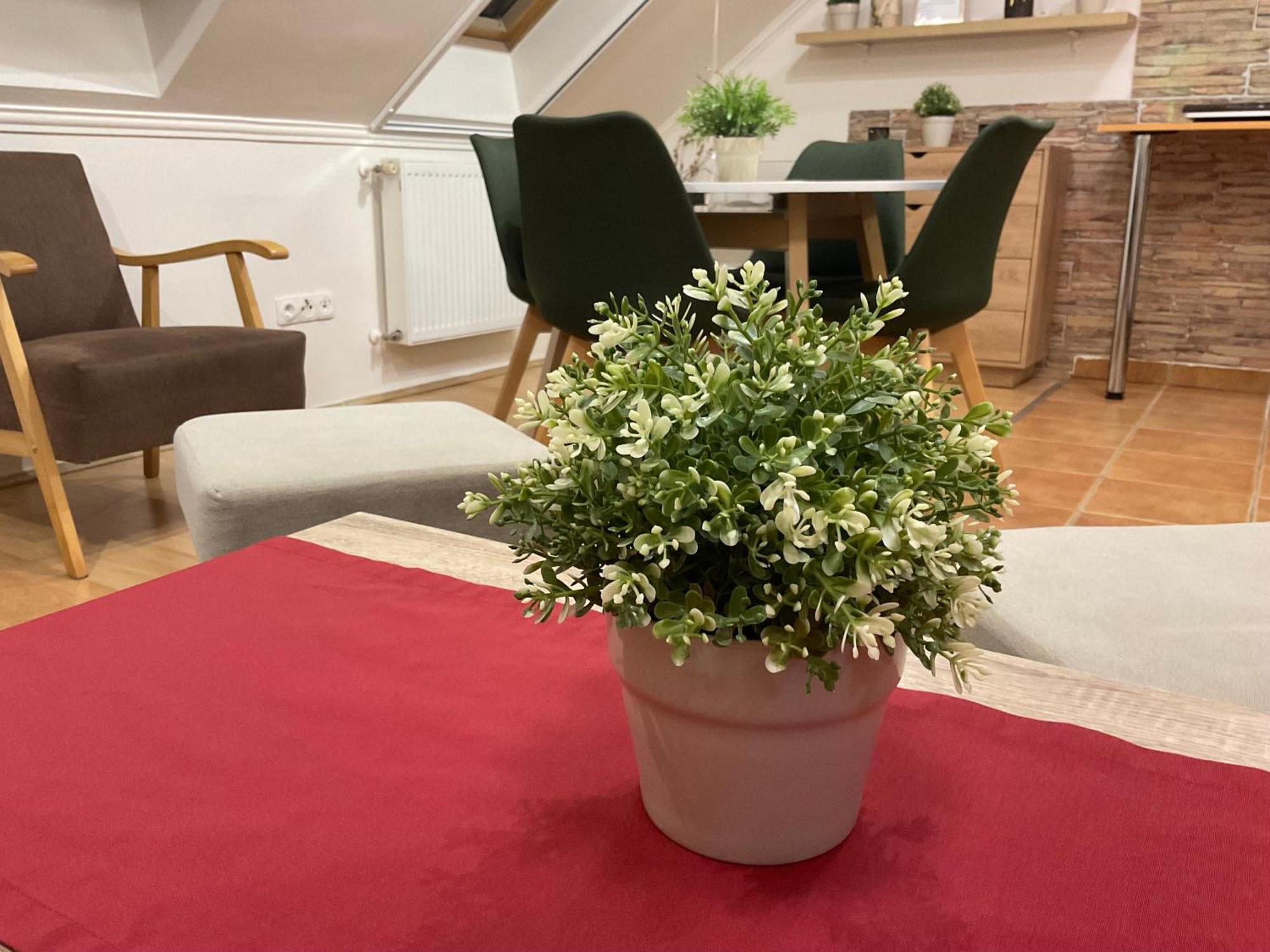 Sport Apartman Hajdúszoboszló Zewnętrze zdjęcie